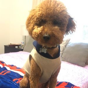 Meet your Posher, Jenell